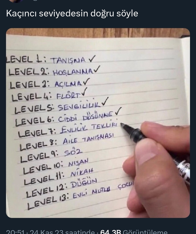 Kaçıncı seviyedesiniz?