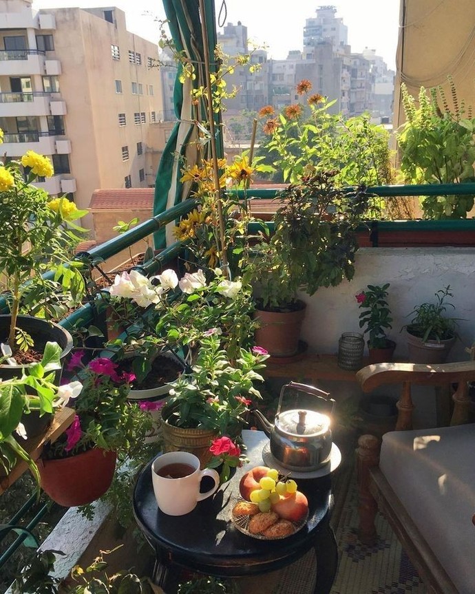 Evinizde en çok hangi çiçeklerden var?