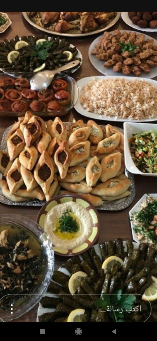 Ay askolar yemeklerim nasıl olmuş?