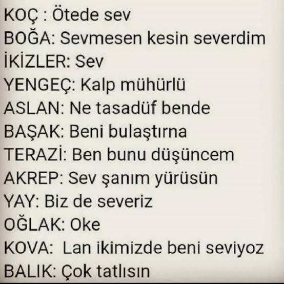 Seni Seviyorum dese ne derdiniz?