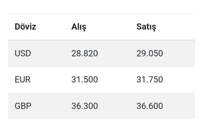 Yılbaşına kadar dövizin hali ne olur sizce?