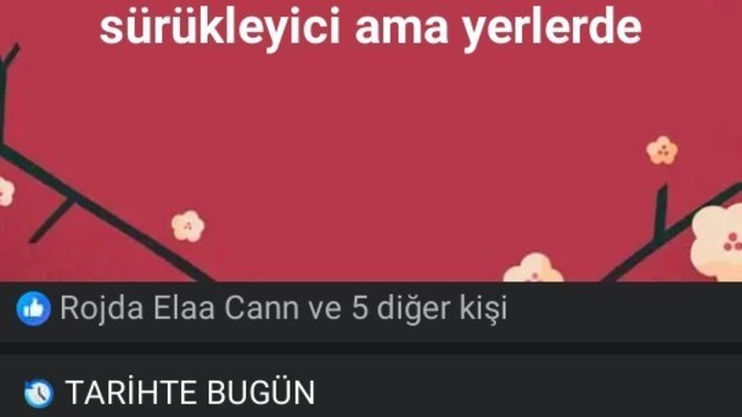 Sürükleyici bir hayatın var mı?