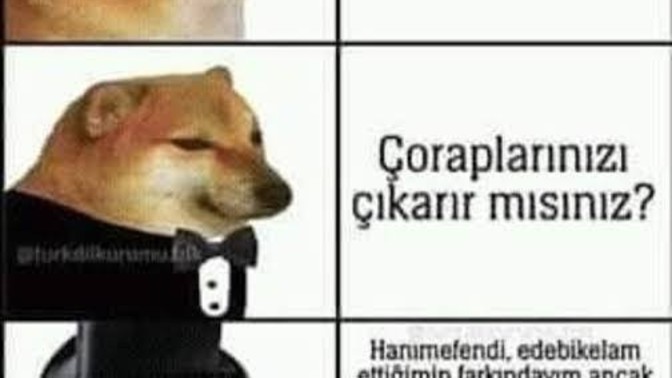 Sanalda erkekler neden karşı cinsleri ile bel altı muhabbeti etmeye çalışır?