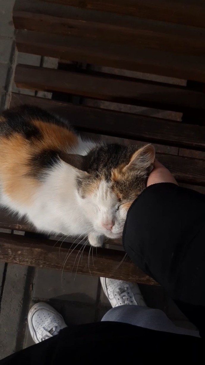 1 haftadır böyle diyor normal de bebeğim falan demez 🥹