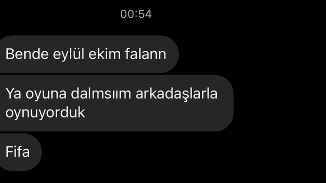 Oyuna dalıp 3 saat cevap vermeyen erkekten olur mu?