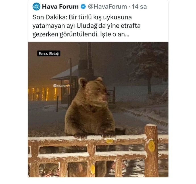 Uykuyla aranız nasıl, uyku düzeniniz var mı?