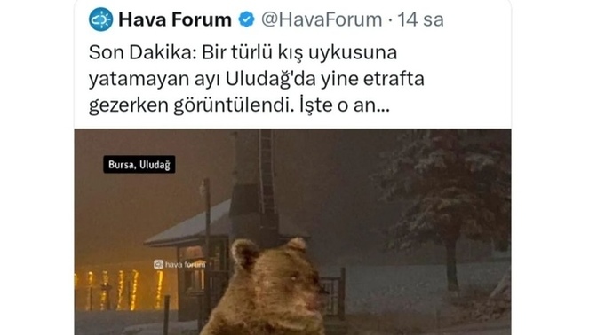 Uykuyla aranız nasıl, uyku düzeniniz var mı?