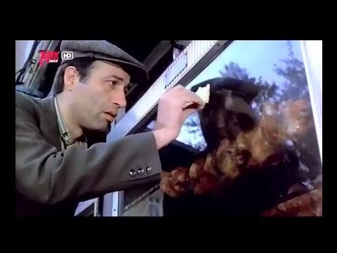 2024e nasıl gireceksin?