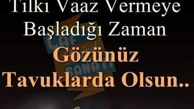 Uyanık olan birine Tilki mi denir Çakal mı 😂?