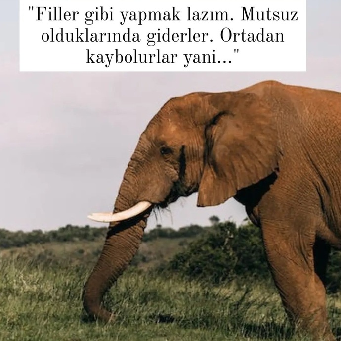 Mutsuz olduğunuzda naparsınız?