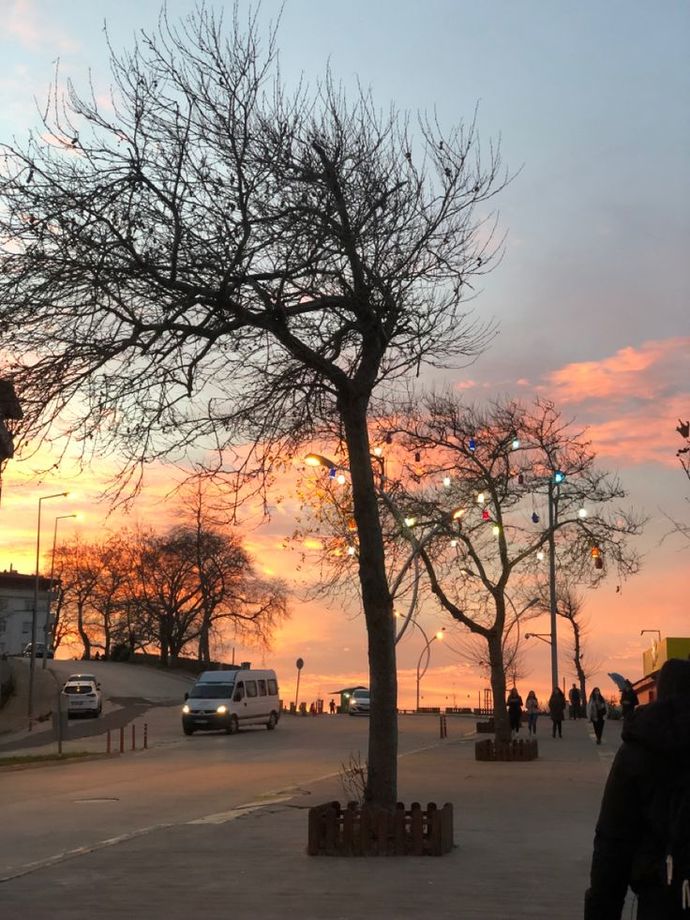 Hani, birine yol sorarsın da ooo, sen &ccedil;ok yanlış gelmişsin der ya işte bu aralar o yoldayım.