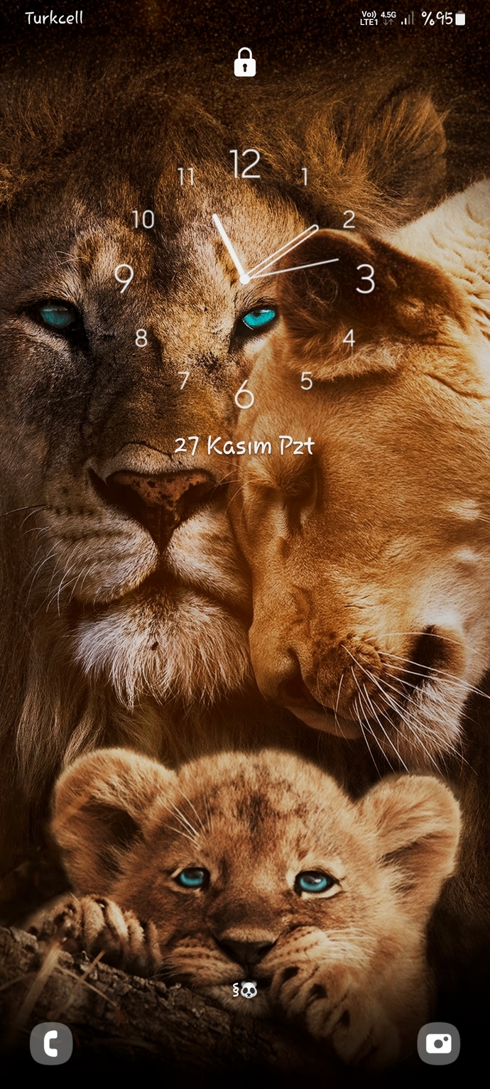 🦁🦁