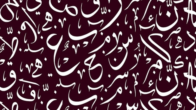 Arapçanın resmi dil olarak tanınması gerektiğini düşünüyor musunuz?