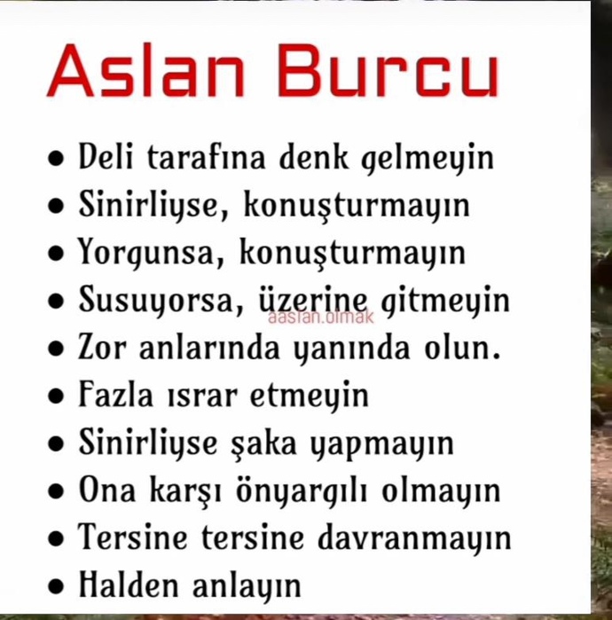 Aslan burcu erkeğini nasıl etkilicem?