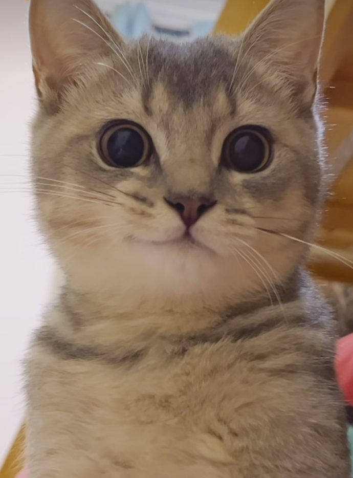 😍😍