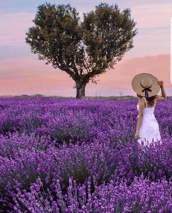 Galerindeki en sevdiğin fotoğrafı paylaşır mısın?