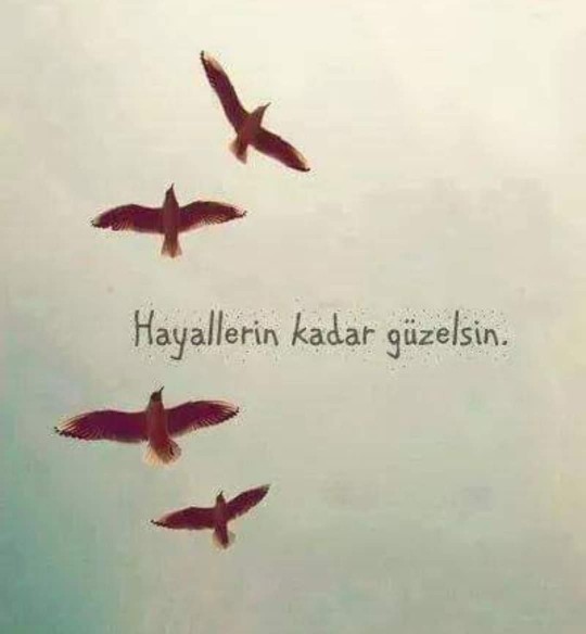 Erkekler, İç çamaşırsız tayt giyiyorum diye eleştiriliyorum haklılar mı?