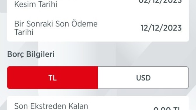 Bunu hangi tarihler içinde ödemem gerek?