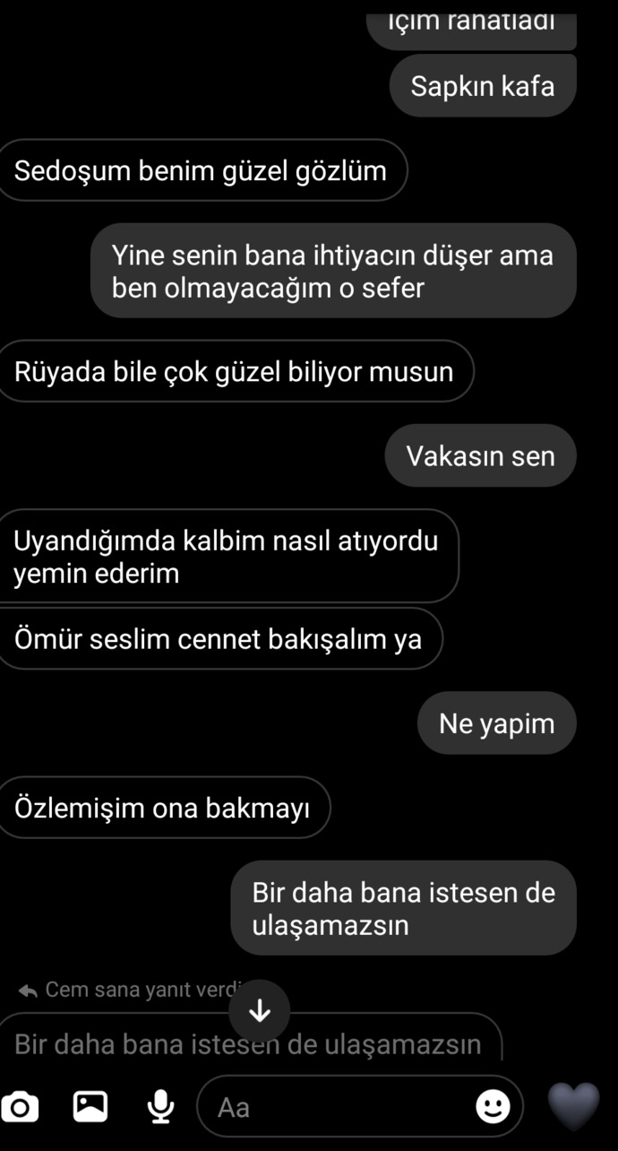 Bu kişinin amacı ne sizce?