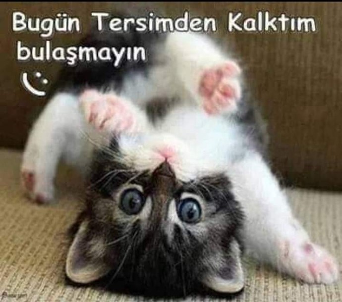 Bugün tersten kalkan var mı?