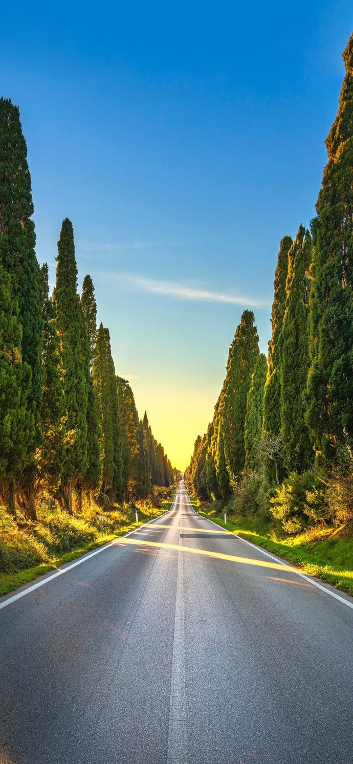 Her insanın içinde tuhaf bir yol haritası vardır. Senin içinde ki yol da neler var?