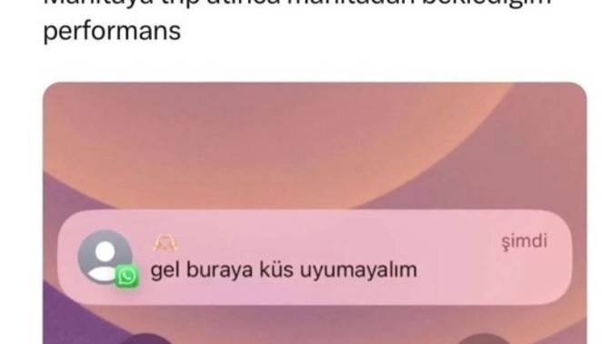 Erkeğin tribi kaç gün sürer?