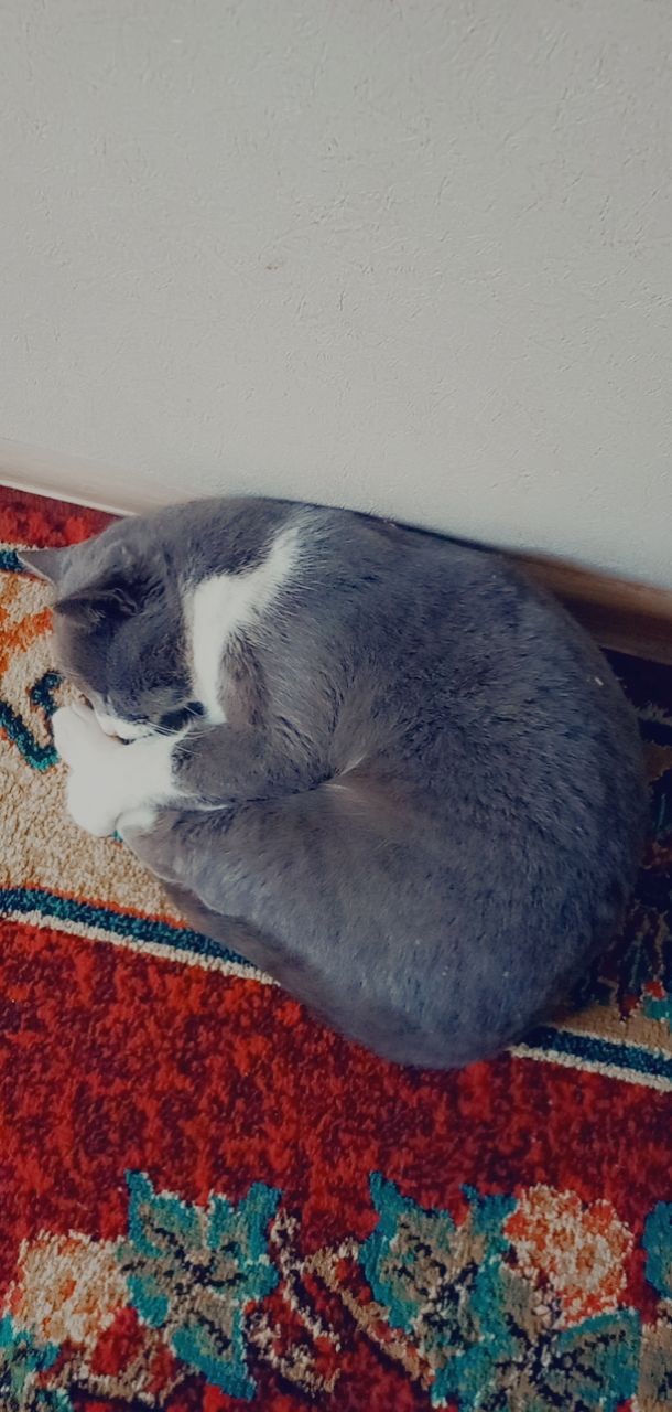 Bu havalarda insanın ya atkısı olacak ya da aşkısı! Sizin neyiniz var?