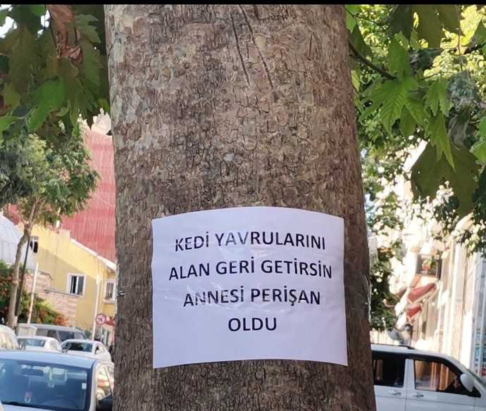 Ne kadar gerçek olmasa da yazı kötü hissettirdi 🫠..