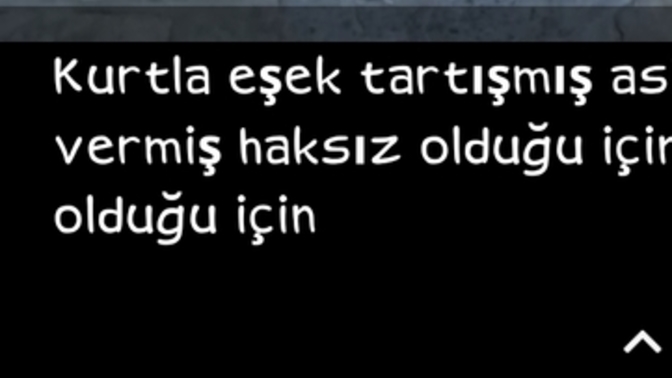 Gereksiz tartışmalara girer misiniz?