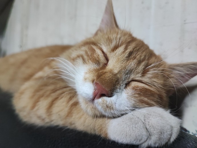 Sabahları sizi dinçleştiren neler var?
