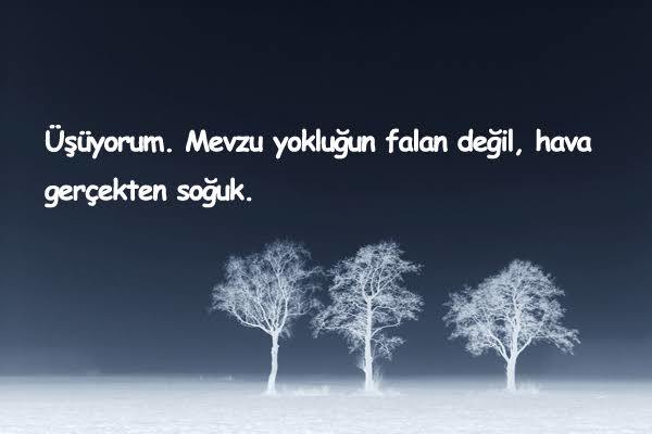 Kış gelsinn yaaahaaww diyenler. Naber popişiniz yeterince dondu mu, mutlu oldunuz mu?