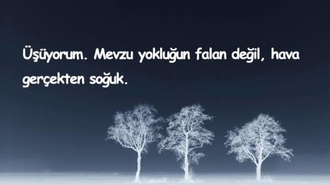 Kış gelsinn yaaahaaww diyenler. Naber popişiniz yeterince dondu mu, mutlu oldunuz mu?