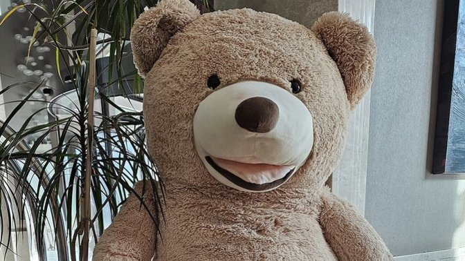Etrafınızdaki en sevimli şey ne?