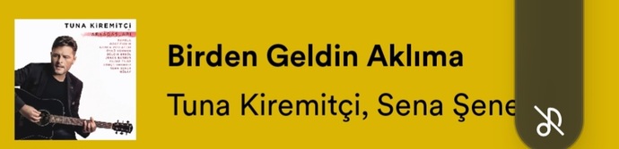 2023 te en çok dinlediğin şarkıcı ve şarkı nedir?