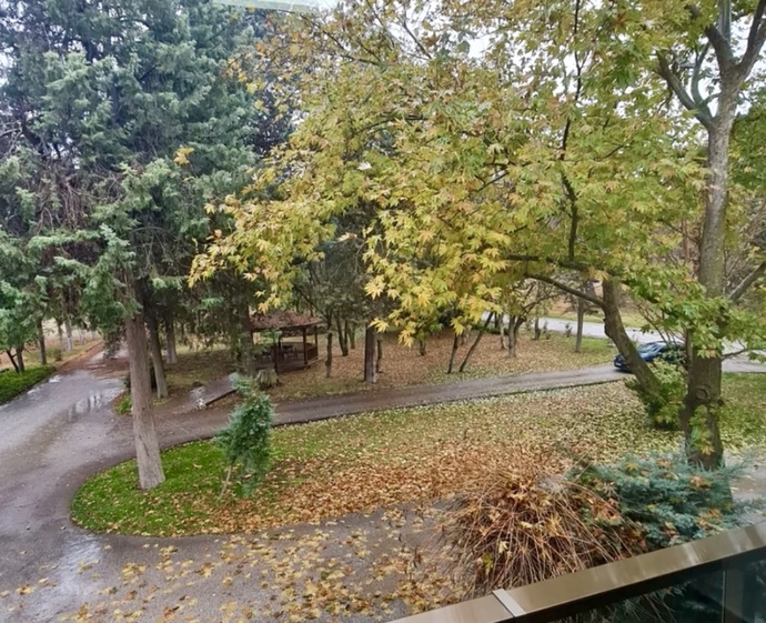 Sonbaharın nasıl geçti? Memnun kaldın mı? Seviyor musun sonbaharı 🍂?