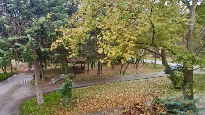 Sonbaharın nasıl geçti? Memnun kaldın mı? Seviyor musun sonbaharı 🍂?