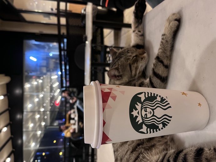 Starbucksta en sevdiğiniz kahve hangisi?