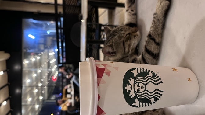 Starbucksta en sevdiğiniz kahve hangisi?
