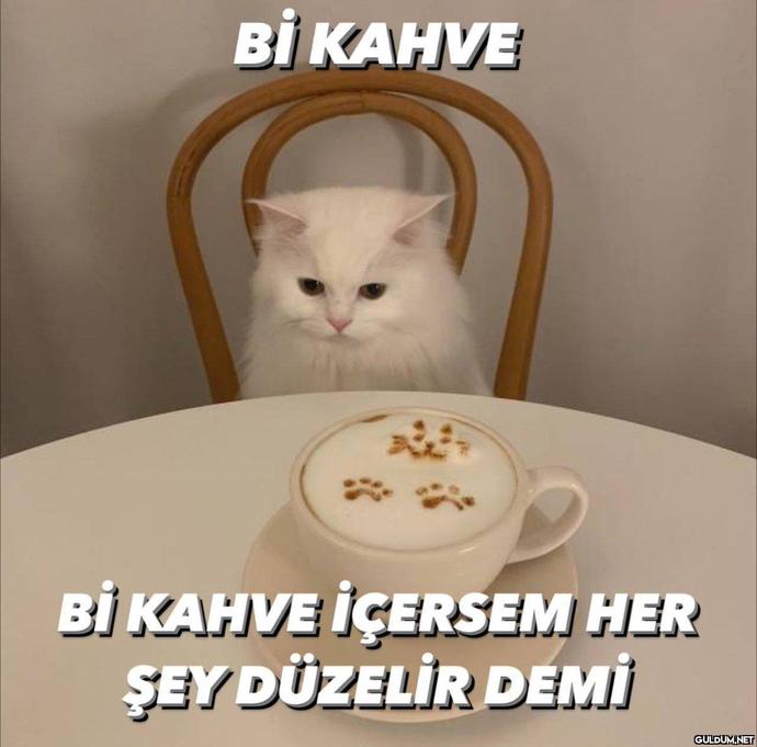 Kahvesini kimler içti?