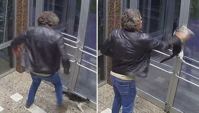 Küçükçekmece’de kediye tekmeleyen şahıs, 5 ay hapis cezası almış. Bu süre yeterli mi sizce?