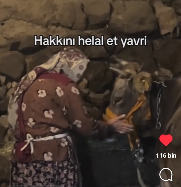 Güzellik/yakışıklılık mı, iyi bir yürek mi?