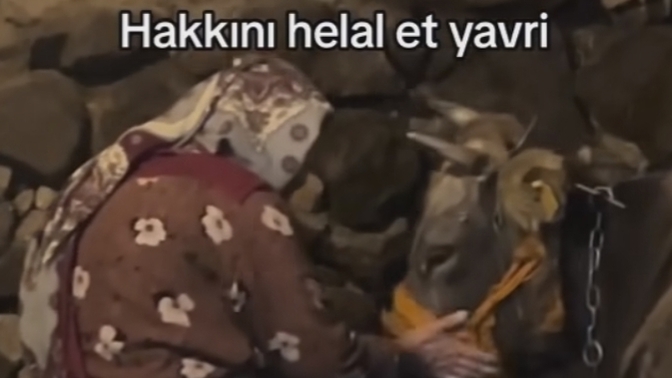 Güzellik/yakışıklılık mı, iyi bir yürek mi?