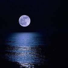 Gündüzmü, Gece mi özgürsün?