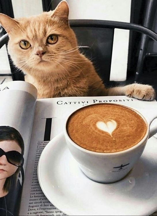 Sahi siz kahvenizi nasıl seversiniz?