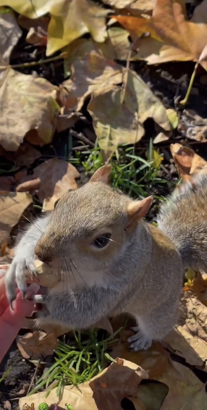 🐿️ sen alışmışsın iki dk trip atıp barışan kızlara ben laf sokmaktan sohbet edemeyince şok oldun tabii 😃