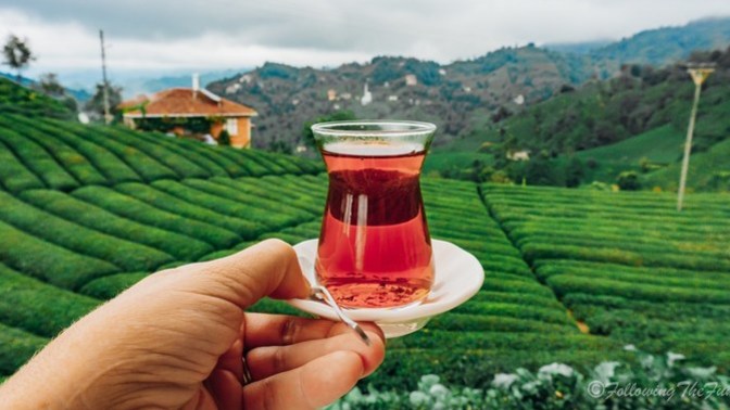 Karadenizde en beğendiğiniz şehir hangisi?