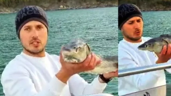 Değeri iki milyon lira olan balığı yakalayıp denize geri bıraktı! Sizce en lezzetli balık türü hangisi?