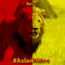 Süper ligin şampiyonu kim olur?