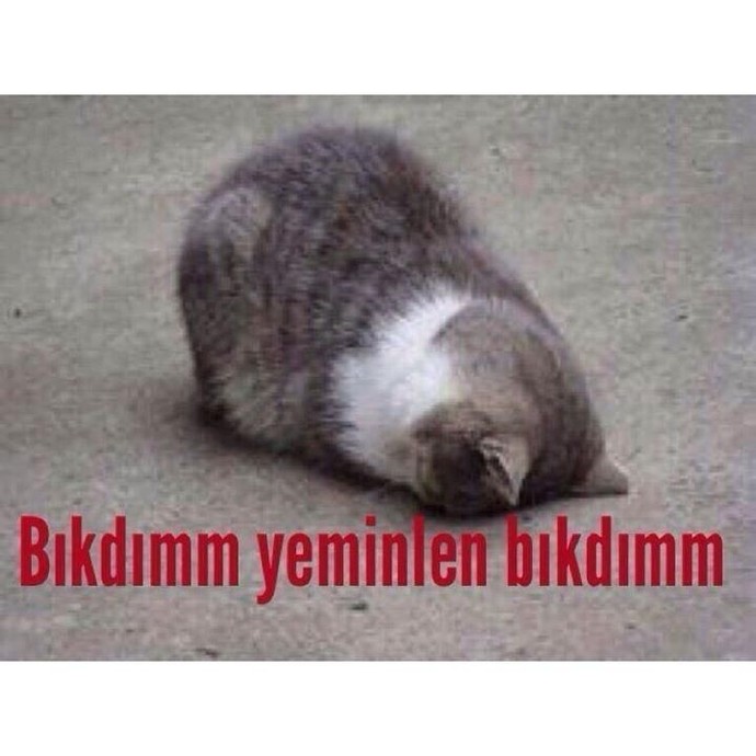 Hangi tür insanlardan bıktınız?