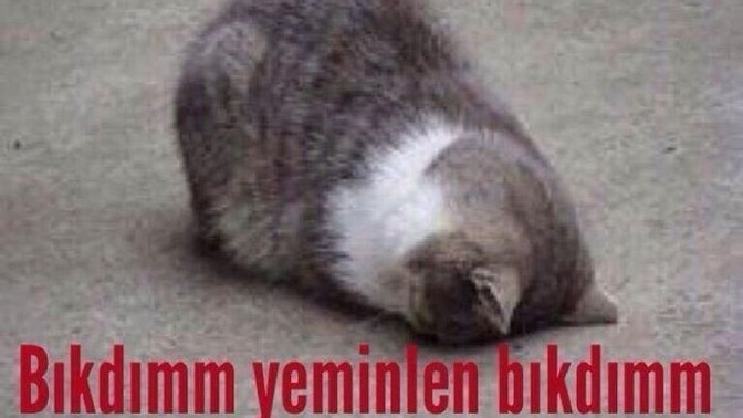 Hangi tür insanlardan bıktınız?